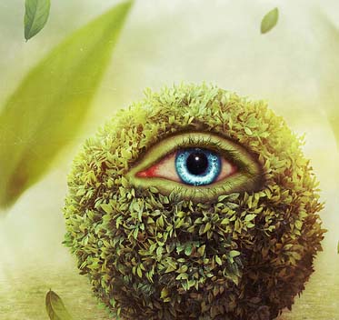 云呼网页版免费试用