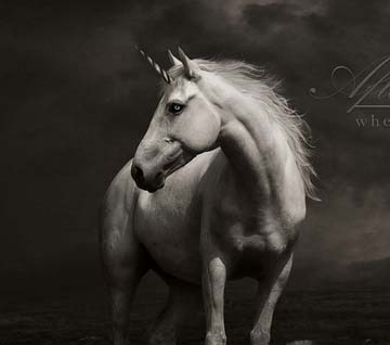 短信压力测试器