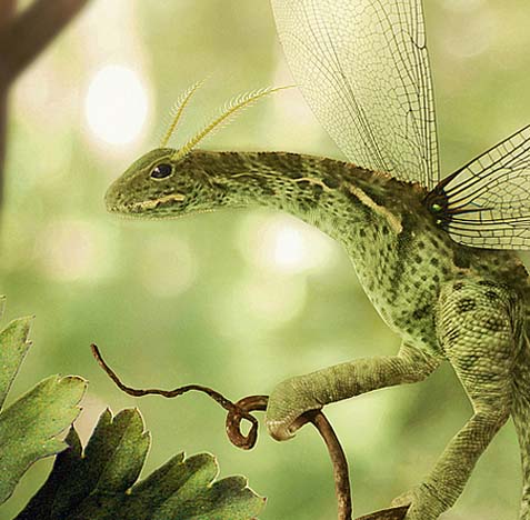 文件管理器的电话验证码轰炸平台